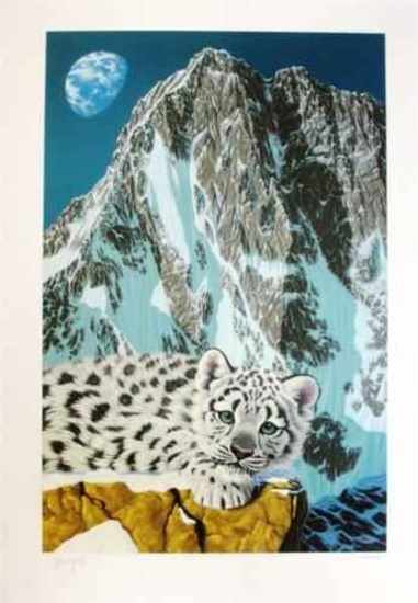 Schimmel "Snow Leopard"