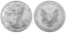 2020 American Silver Eagle .999 Fine Silver Dollar Coin
