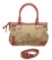Gucci Brown Red Canvas 2 Way Shoulder Bag