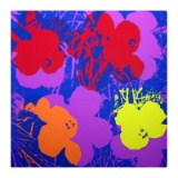 Flowers 11.66 by Warhol, Andy