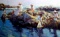 Rocky Point by Don Hatfield on canvas