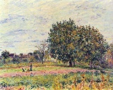 Alfred Sisley - Walnut Trees in the Sun, in Early October
