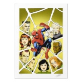 Spider-Man 600 by Stan Lee - Marvel Comics