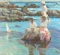 Maritime Memories by Don Hatfield on paper
