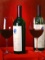 A Toast to Opus by Thomas Stiltz