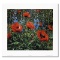 Red Poppies by Peter Ellenshaw (1913-2007)
