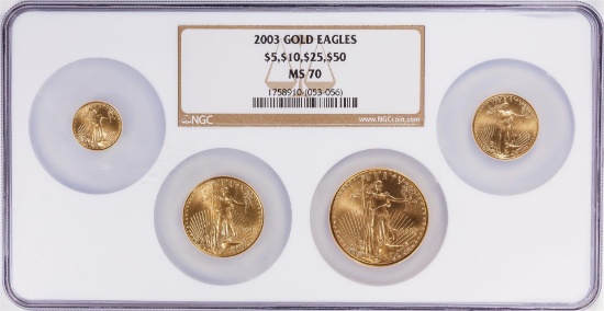 2004 American Eagle Gold MS70 Set