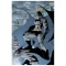 Batman #208 by DC Comics