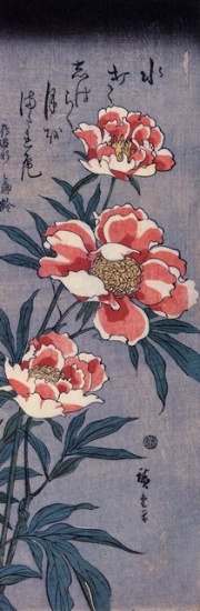 Hiroshig Peonies