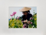 Lam Duc Hien Laos Rï¿½gion du triangle d'or Travel Flowers Asia Nature