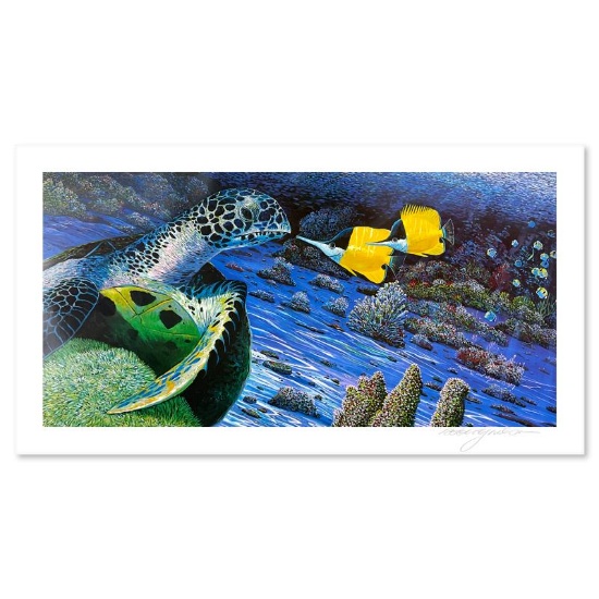The Turtle and the Butterfly by Nelson, Robert Lyn