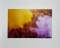 Jagjit Singh India Pink and Yellow Shower
