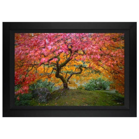 Full of Life by Jongas,