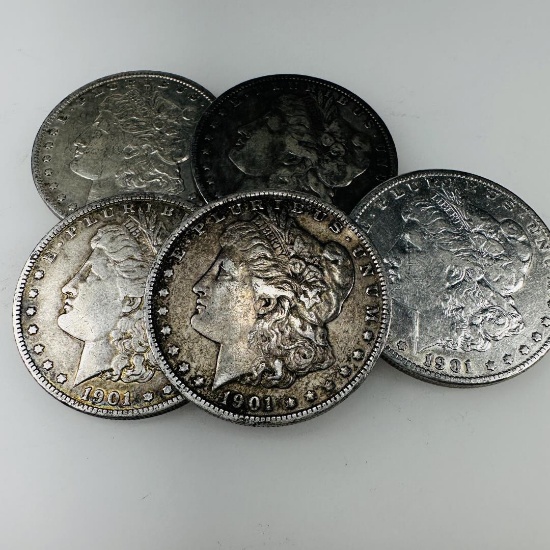 1901 Morgan Silver Dollar (VG+) Set of 5