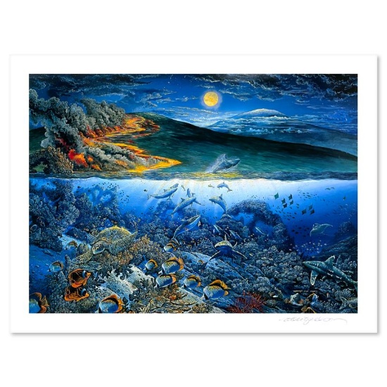Wonders of Mahea-Lani by Nelson, Robert Lyn