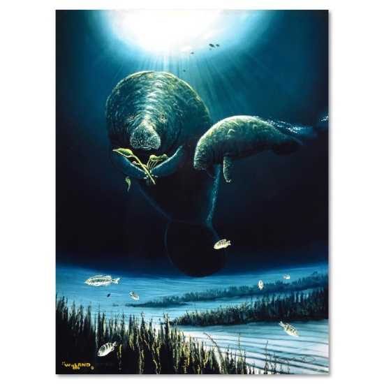 Save the Manatees by Wyland,