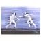 Fencing by Spahn Victor