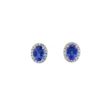 14kt WG Tanzanite & diamond Halo Stud Earrings