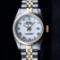 Rolex Ladies 2T Yellow Gold & Stainless Steel White Roman 26MM