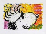 POP STAR by Everhart, Tom