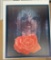 The Rose by G.H. Rothe