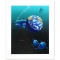 Our Home Too II (Dolphin) by Schimmel William