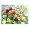 Dahlias by Fox Perla
