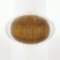 18K Gold Oval Half Bezel Rutilated Quartz Solitaire Brushed Finish Cocktail Ring