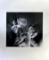 Gaston Paris France Livresse Du Plaisir Cabaret Vintage 30s