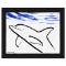 Dolphin by Wyland Original