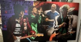 Rolling Stones by Stephen Holland