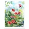 Anenomes by Fox Perla