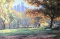 Carriage Ride in NY by Richard Zu Ming Ho.ORIG