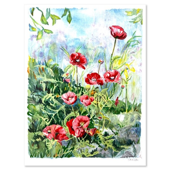 Anenomes by Fox Perla