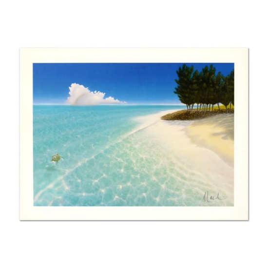 Afternoon Swim by Mackin Dan