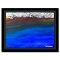 Untitled by Wyland Original