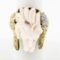 Vintage 14k Gold LARGE Hand Carved Lion's Head Soft Pink Angel Skin Coral Ring