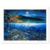 Wonders of Mahea-Lani by Nelson Robert Lyn