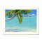 Palms on Parade by Mackin Dan