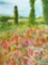 Glory in the Garden by Adonna Original