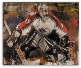 Patrick Roy by Stephen Holland