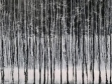 Gravity by Marion Wood Original