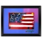 Flag by Peter Max
