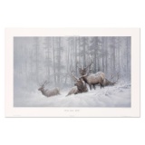 Mountain Majesty (Bull Elk NRA Edition) by Fanning (1938-2014)