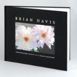 Brian Davis: Contemporary Master in a Grand Tradition by Davis Brian