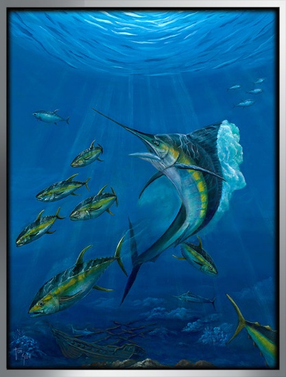 Marlin And Sushi By Tom Gion