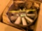 Multi Wing Radiator Fan Lot