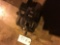 Sauer Danfoss Hydraulic Pump.