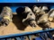 Asst. Ford/ New Holland Tractor or Implement parts, see list and all pics