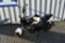 (INV881) 2021 Wolf Motorbike 125CC engine